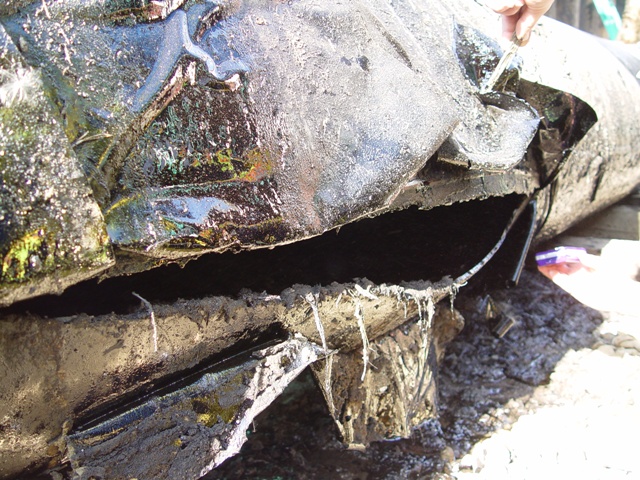 Close-up view of the section of pipe containing rupture. 